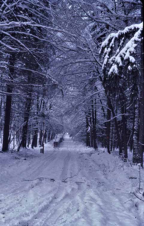 snow scene